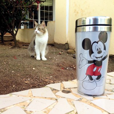 cat-with-mickey-mouse