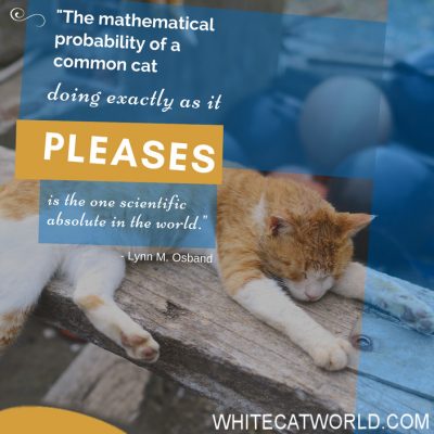 "The mathematical probability of a common cat doing exactly as it pleases is the one scientific absolute in the world." - Lynn M. Osband