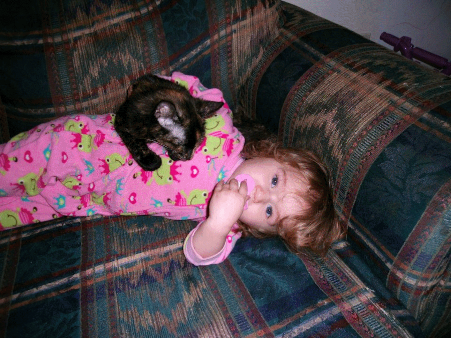 tabby-cat-with-baby
