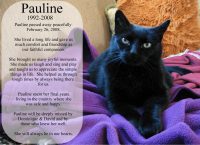 Remembering Our Dear Pauline
